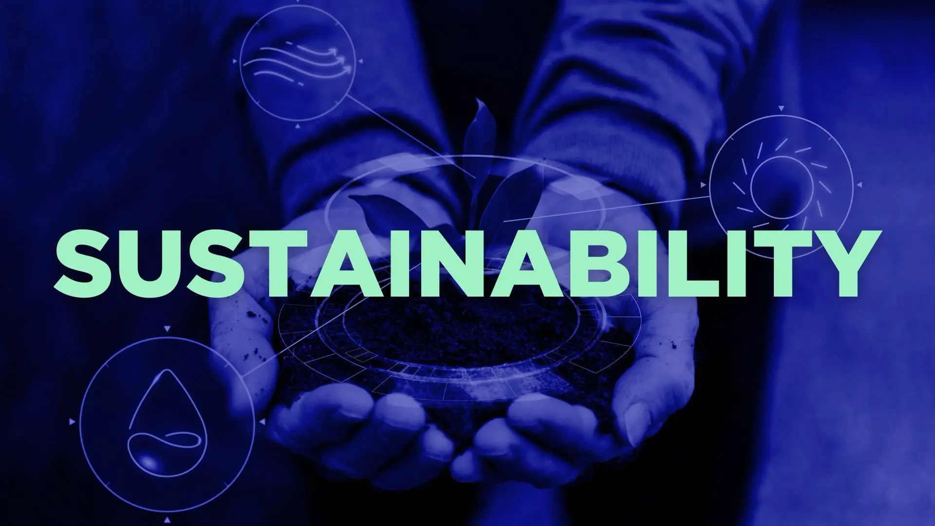 Faculty & Research | Sustainability